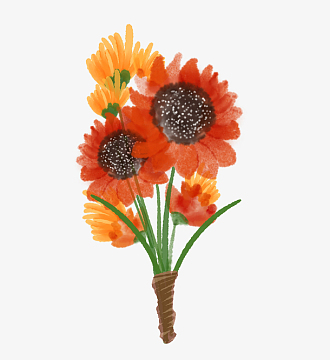 小清新手绘水彩花束捧花