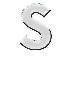 英文S字体设计