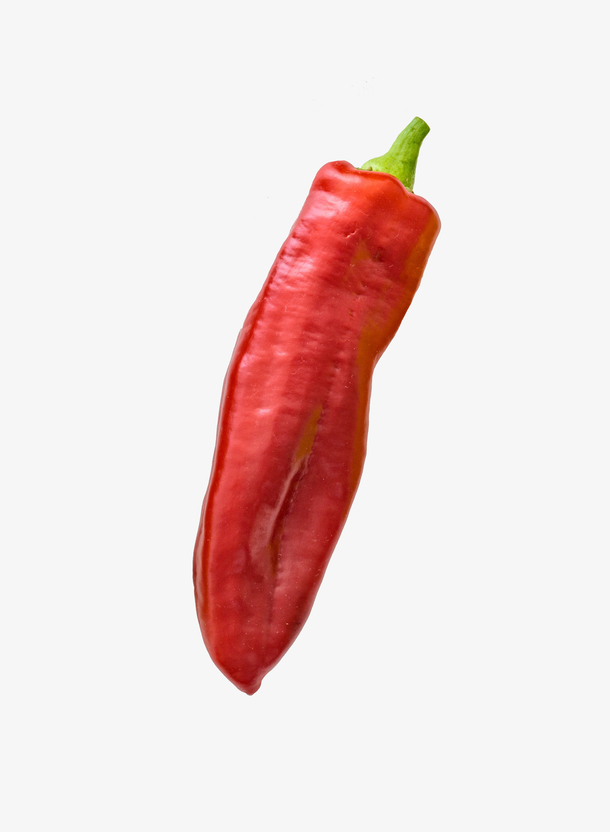 一颗鲜艳的红辣椒.