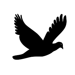 黑色小鸟 鸟图标 小鸟图标 动物图标