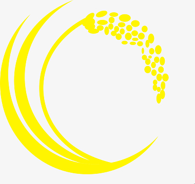 叶子矢量(1500x1500)aipng卡通金黄色小米穗矢量(1500x1500)aipng卡通