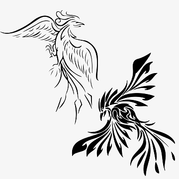 白描手绘凤凰图