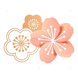 中秋 樱花 花卉 节日