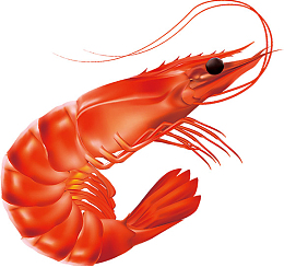 虾 虾 虾 虾 虾 虾