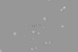 白色漫天雪花