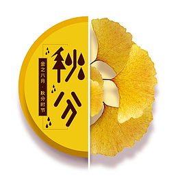 秋分造型圆形银杏秋分黄色金黄