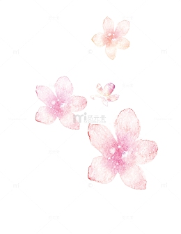 教师节粉红色花朵老师