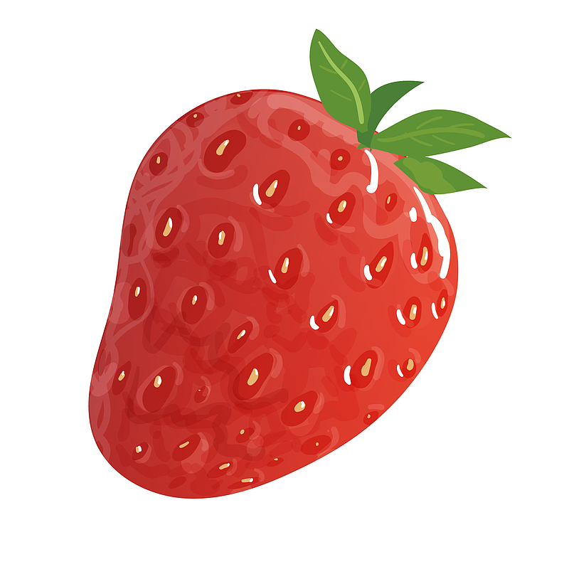 新鲜的草莓手绘插画懈