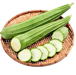 广东本地丝瓜