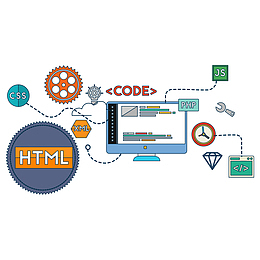 程序编程结构纶