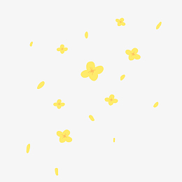 飘落桂花花瓣