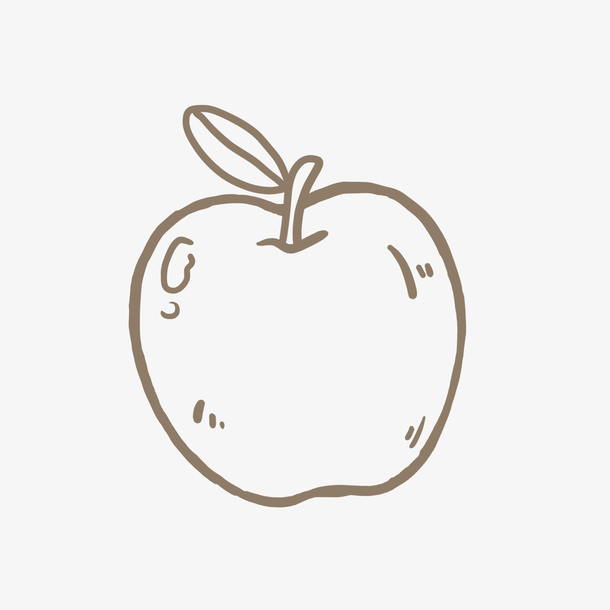 苹果解剖图简笔画图片