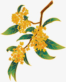 桂花手绘桂花黄色桂花