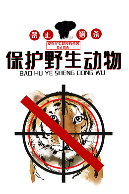 世界动物保护