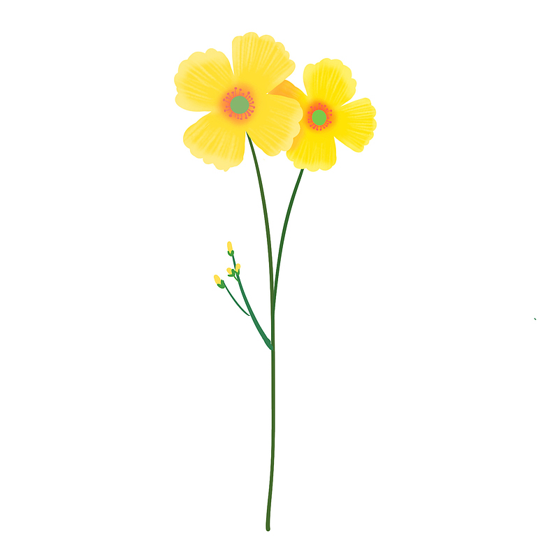 手绘春天植物黄色小花