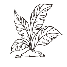 黑色矢量叶子线描图免抠png
