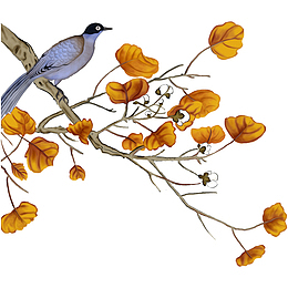 站在秋叶树枝上的鸟