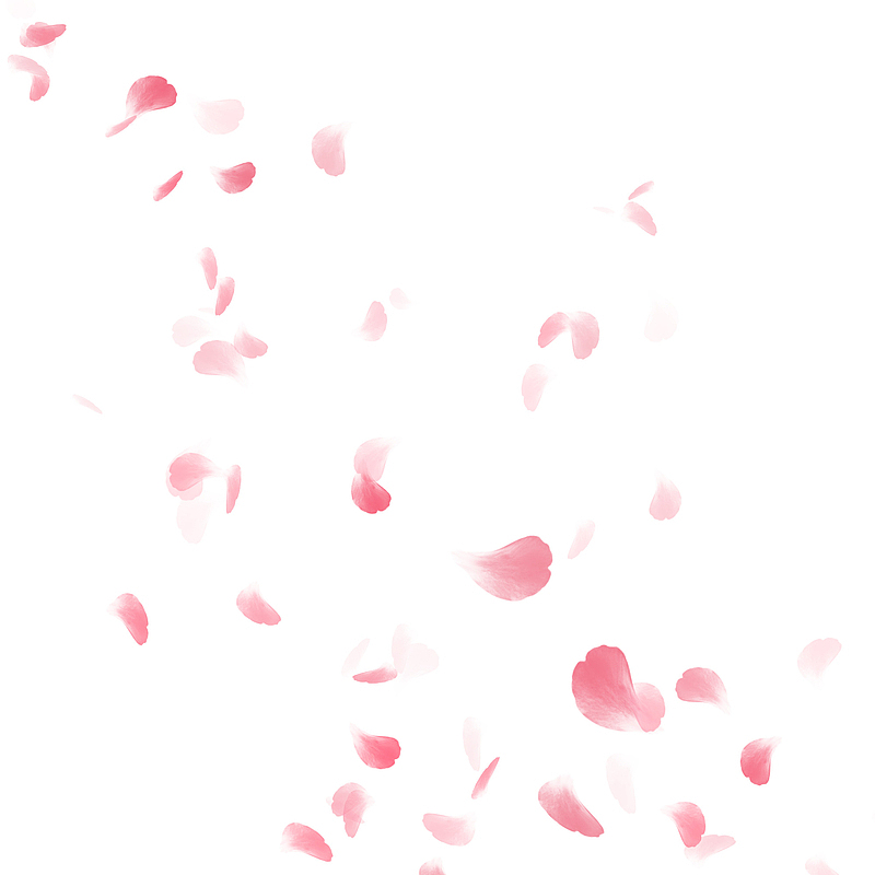 粉色漂浮花瓣玫瑰装饰