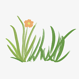 小草坝天麻图案小草