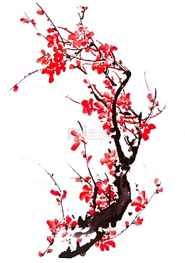 一支红梅素材