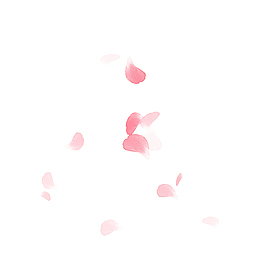 粉色桃花瓣
