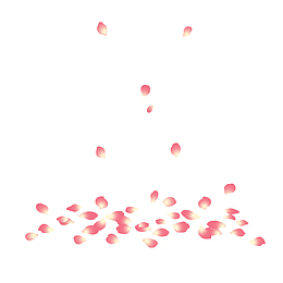 散落的玫瑰花瓣PNG