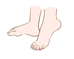 手绘人体器官脚插画