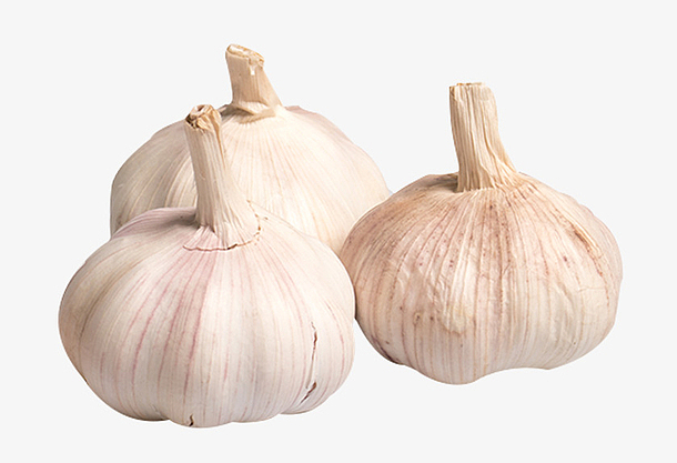 三颗食材大蒜免抠素材免费下载_觅元素51yuansu.com