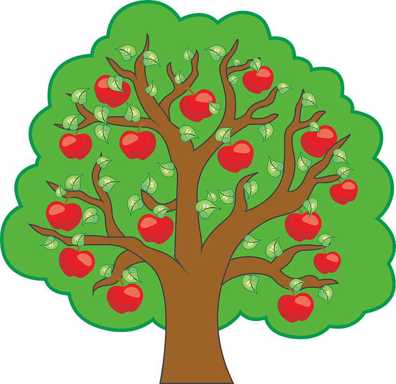 苹果树，植物，树林，苹果