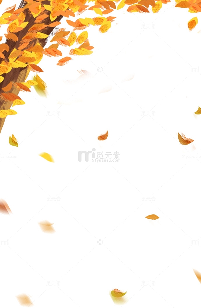 秋天里的落叶