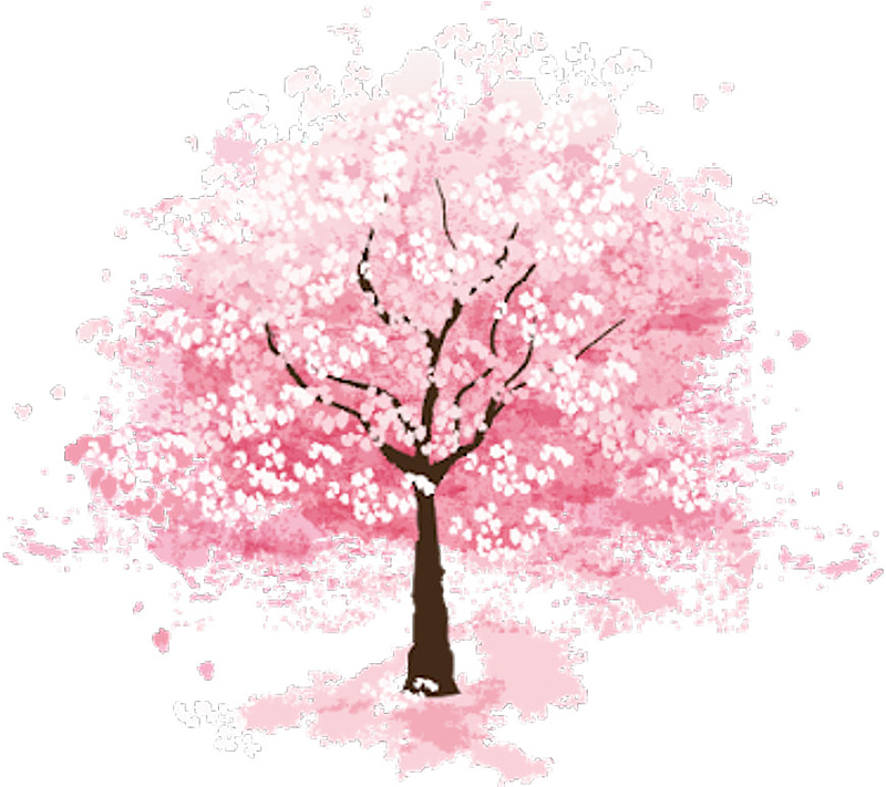 高清手绘水彩中国风樱花插画素材
