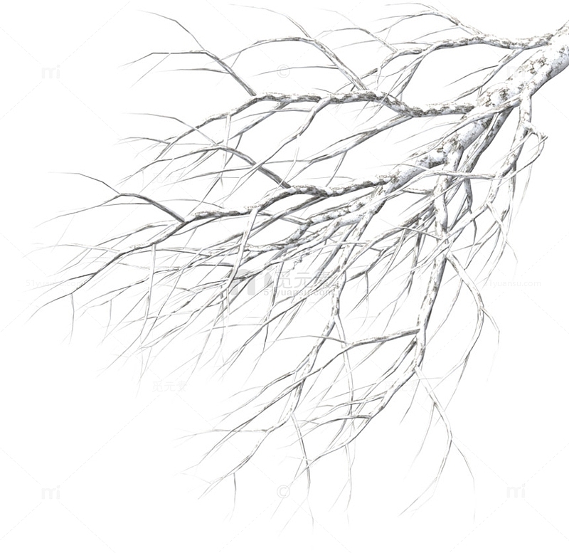精美手绘水彩中国风冬天覆雪树枝插画素材