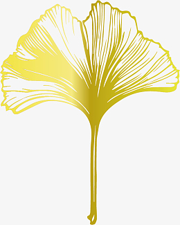 金色银杏叶素材_金色银杏叶png图片下载_觅元素