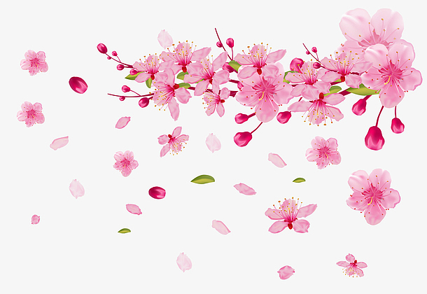 花瓣粉色桃花樱花免抠素材免费下载_觅元素51yuansu.com