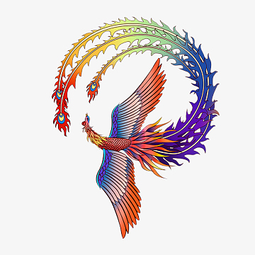 凤凰 彩色 中国风 国潮 插画 手绘