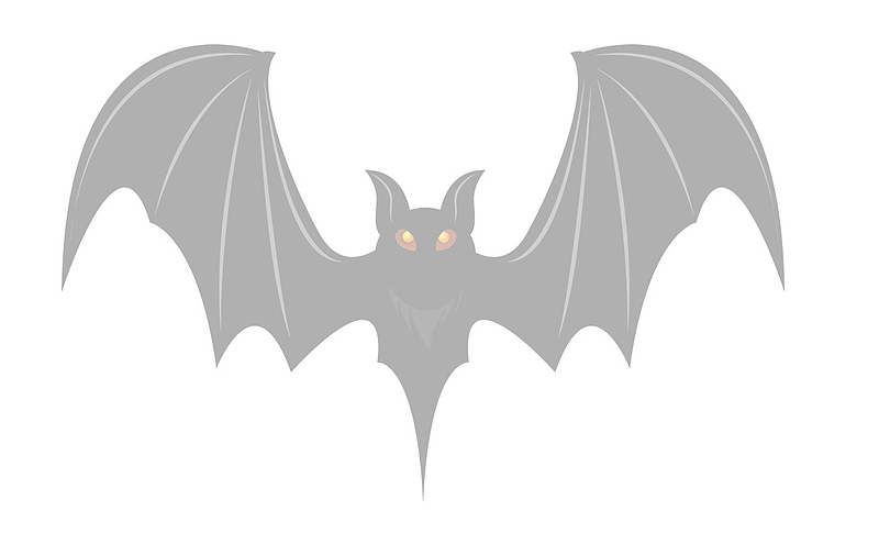 蝙蝠透明大蝙蝠