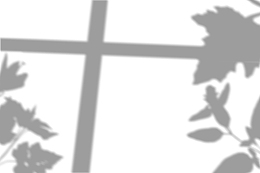 倒影投影背景贴图光影