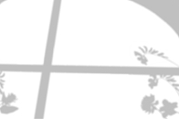 倒影投影背景贴图光影