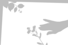 倒影投影背景贴图光影