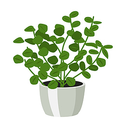 新鲜绿植盆栽插画