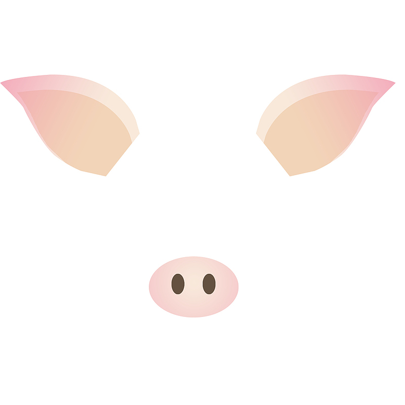 可爱的猪耳朵装饰插画