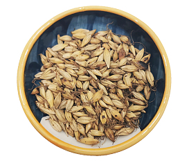 行气消食炒麦芽