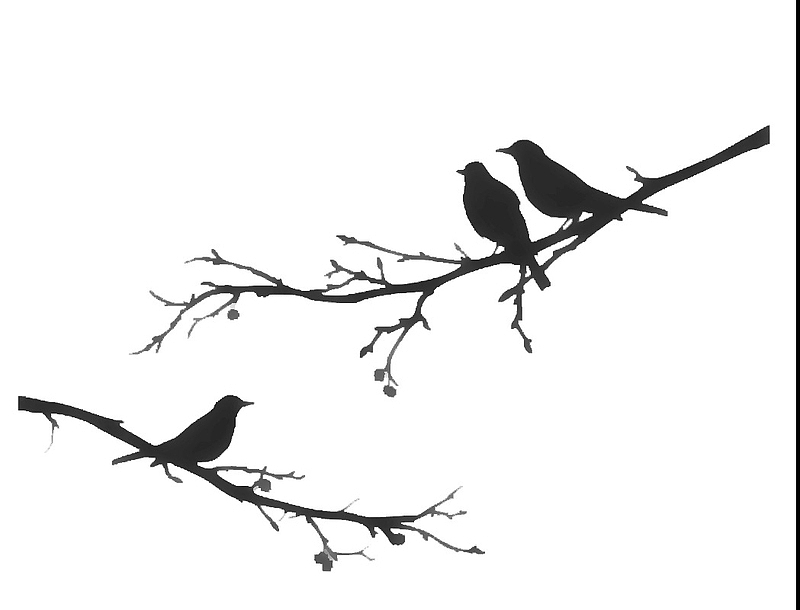 中国风 鸟和树枝