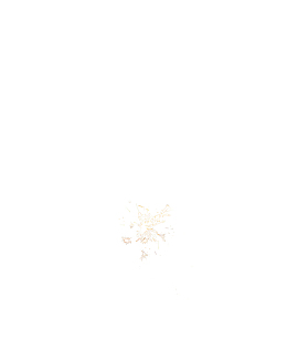 烟花仙女棒烟火 氛围感