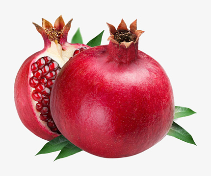 红石榴免扣素材