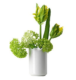 绿色绣球花艺
