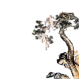 枝繁叶茂的大榕树