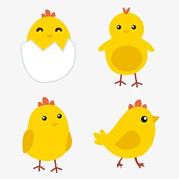 小鸡手绘卡通插图