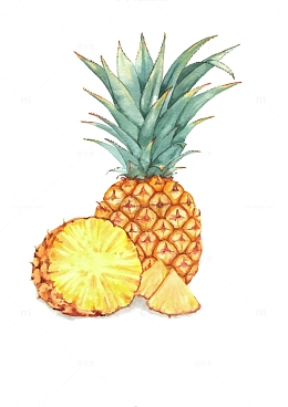 手绘凤梨图片
