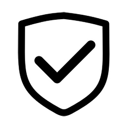 盾牌 安全 通过